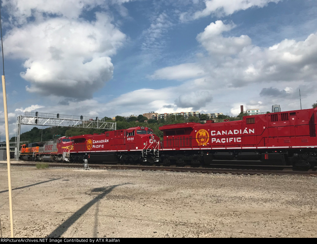 CP 8026